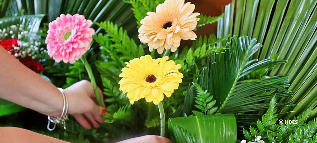 Cuidar de cada detalhe: O HDES prepara-se para celebrar as festividades alusivas ao Senhor Santo Cristo